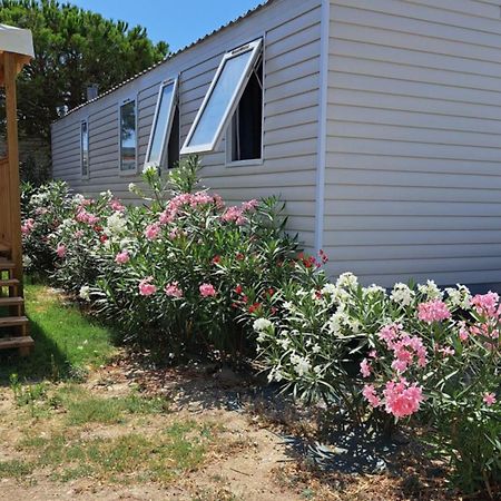 Chez Boby ! Canet-en-Roussillon Exterior foto